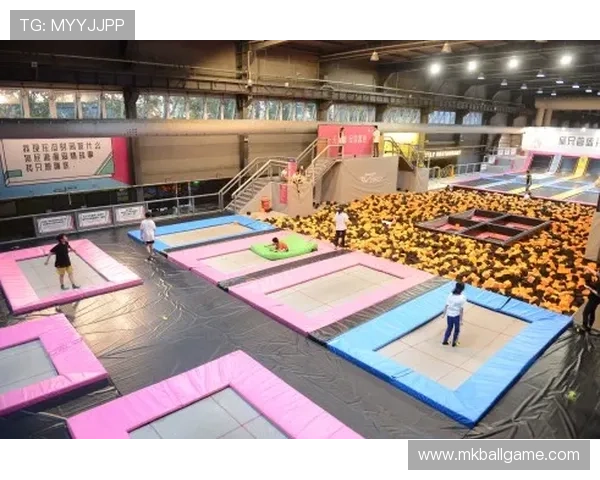 乐动体育蹦床在家庭娱乐中的应用场景，打造多功能运动空间提升生活品质